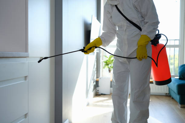 Best Mold Remediation  in Forest City, FL